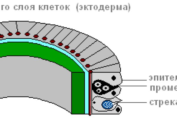 Kraken ссылка kraken clear com