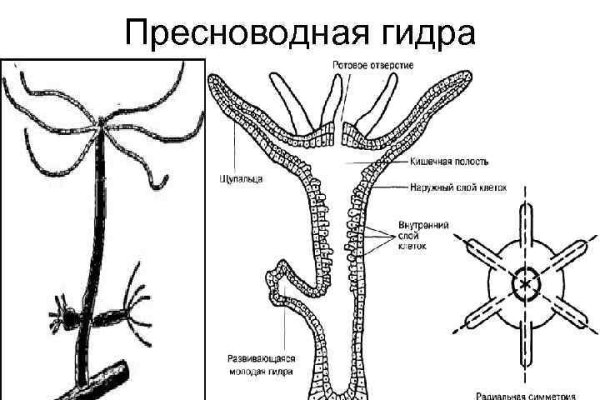 Tor kraken маркет